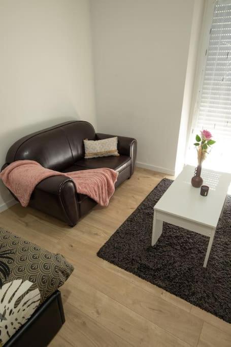New Appartement Proche Gare Et Centre-Ville Colmar Eksteriør billede